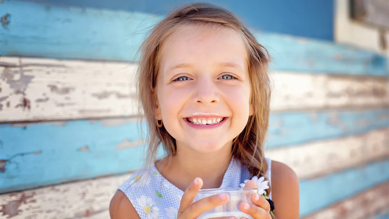 Schéma des dents de lait
